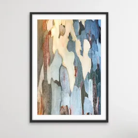 Bark In Blue Tones - Natural Eucalyptus Inspired Bark Photographic Print on Paper Or Canvas