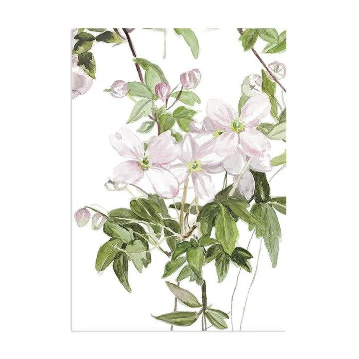 Classic Clematis Mural Wallpaper