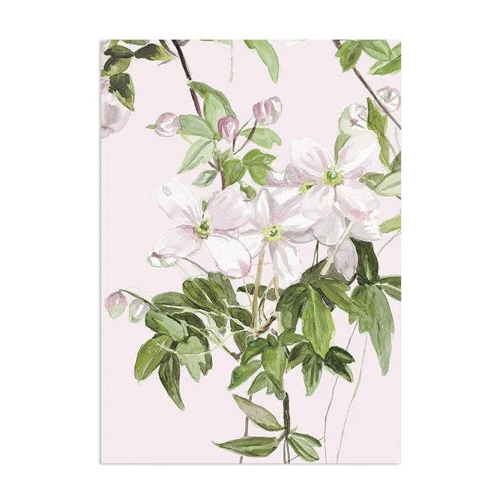 Classic Clematis Mural Wallpaper