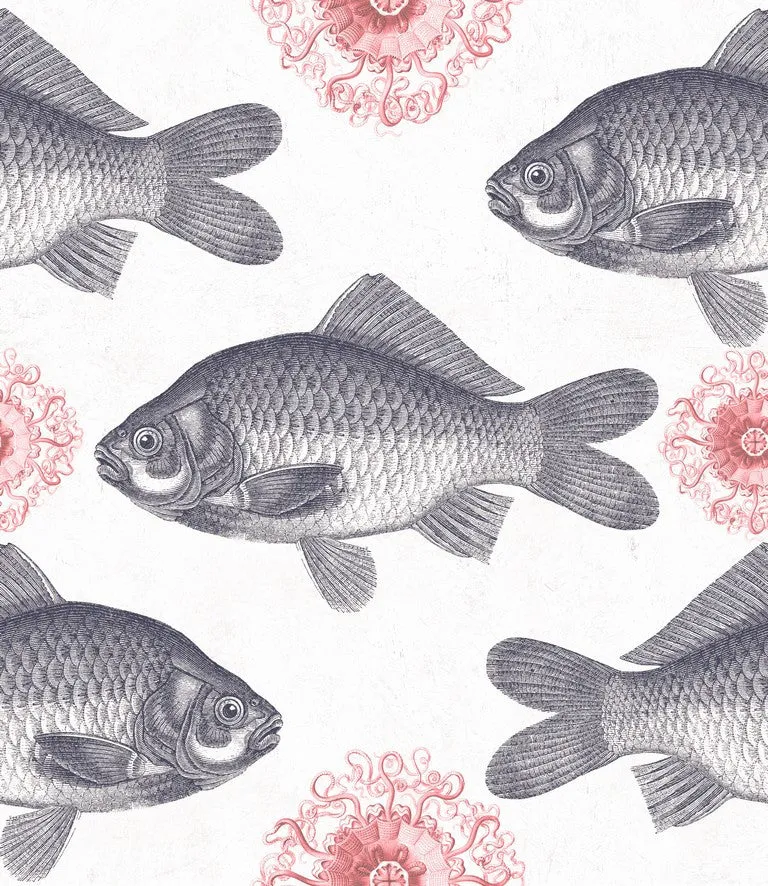 Fish Wallpaper