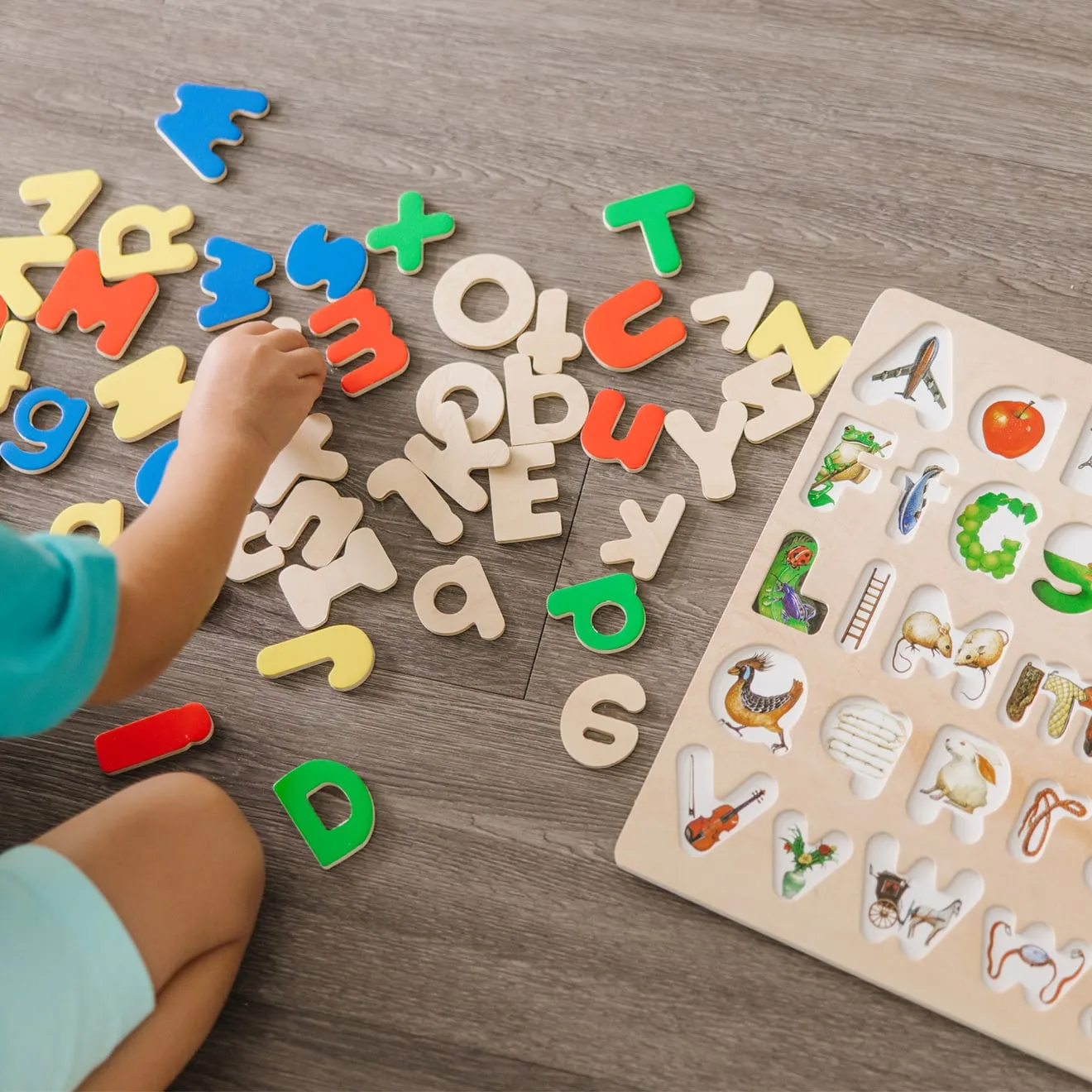 Upper & Lower Case Alphabet Puzzle