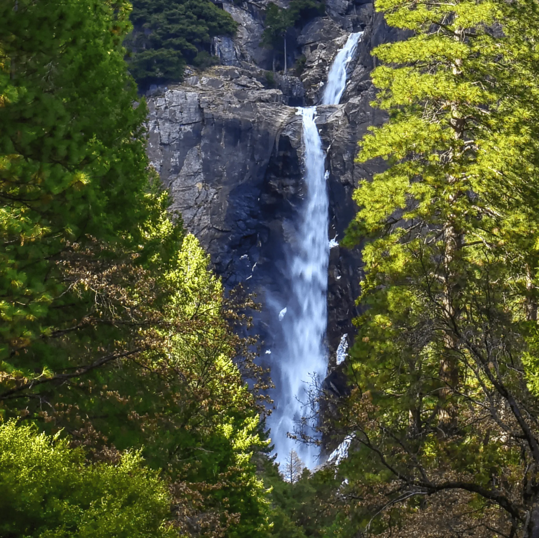 Yosemite Falls Canvas Wall Art